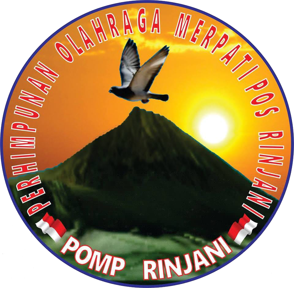 Rinjani Live